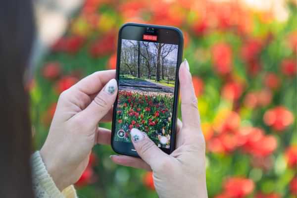 Keukenhof bus tour from Amsterdam