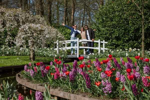 Keukenhof bus tour from Amsterdam