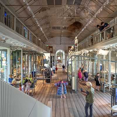 ARTIS-Groote Museum – Planteando las grandes preguntas