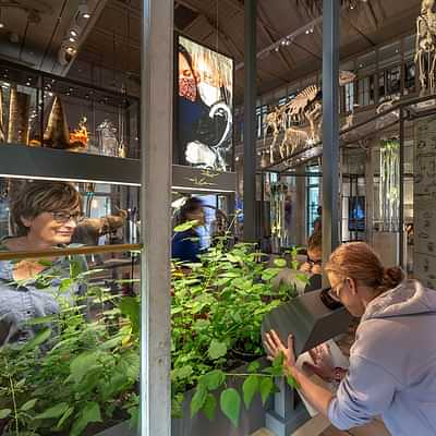 ARTIS-Groote Museum – Planteando las grandes preguntas