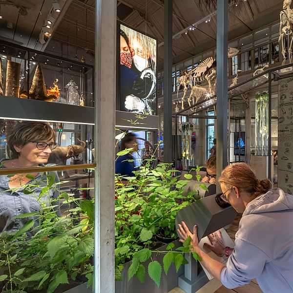 ARTIS-Groote Museum – Asking the big questions