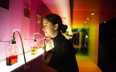 Bols Cocktail Experience