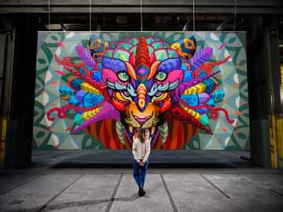 Museo STRAAT - Arte Callejero y Graffiti