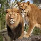 XR5 Ijo1 M Cwic H Jv Z3 Jlc3 Npdm Ui On Ryd W Us In Ry Z Wxsa XN Rd WF